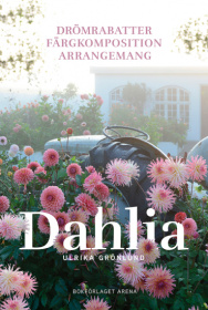 Dahlia : drömrabatter, färgkomposition och arrangemang Dahlia : drömrabatter, färgkomposition och arrangemang