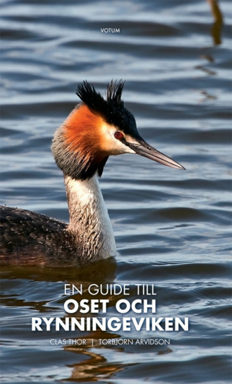 En guide till Oset och Rynningeviken 1