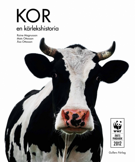 Kor - en kärlekshistoria