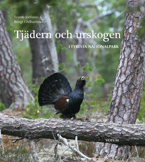 Tjädern och urskogen : I Tyresta nationalpark 1