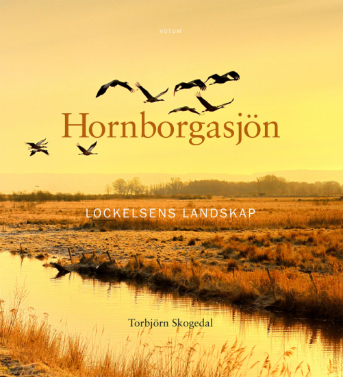 Hornborgasjön : Lockelsens landskap 1