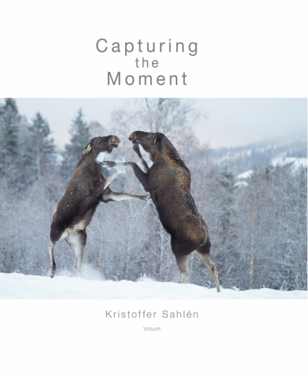 Capturing the Moment i gruppen Landshopping.se / Böcker hos Landshopping (10006_9789188435699)