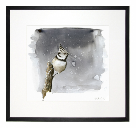 Tofsmes - fine art akvarellmålning