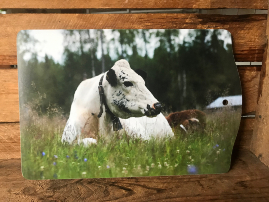 Skärbräda med fjällkon Tjärna