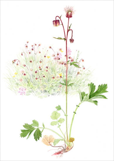 Humleblomster, Exklusivt framtagen för Land.