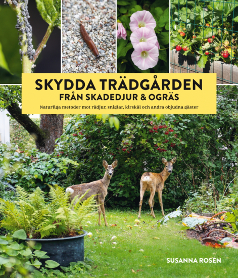 Skydda trädgården från skadedjur & ogräs 1