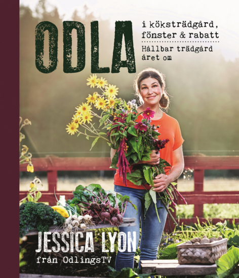 Odla i köksträdgård, fönster & rabatt