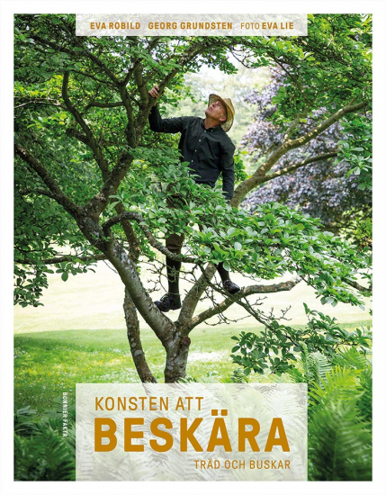 Konsten att beskära