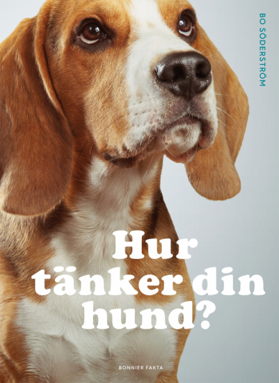 Hur tänker din hund? 1