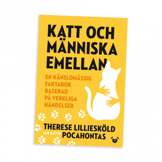 Katt och människa emellan
