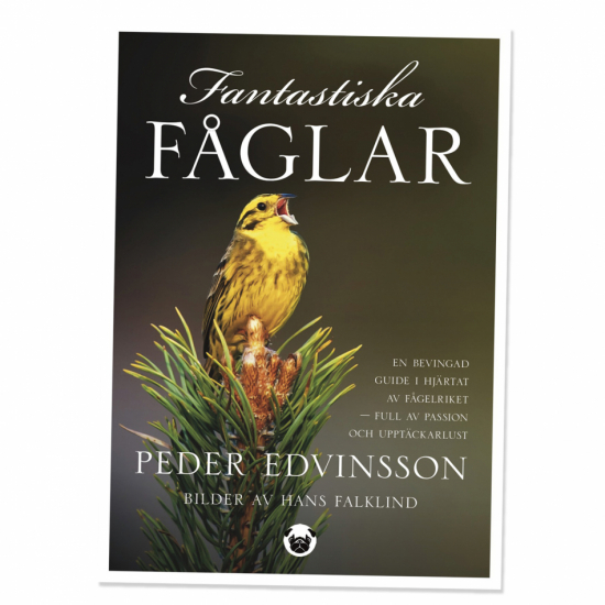 Fantastiska fåglar