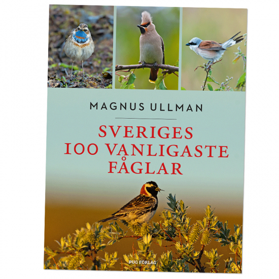 Sveriges 100 vanligaste fåglar