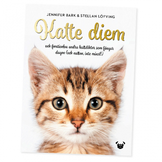 Katte Diem 1