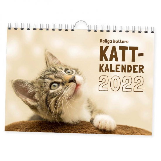 Roliga katters kattkalender 2022 1