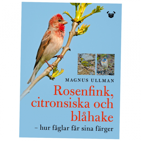 Rosenfink, citronsiska och blåhake – hur fåglar får sina färger i gruppen Landshopping.se / Böcker / Djur & Natur hos Landshopping (10041_9789188699787)