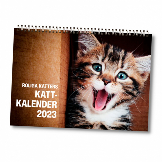Roliga katters kattkalender 2023