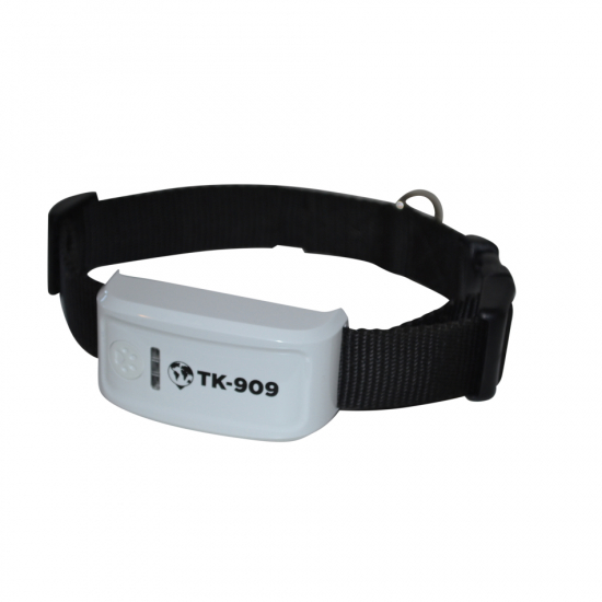 TK-909 2G GPS-Spårare till hund och större katt