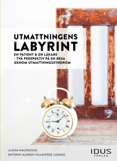 Utmattningens labyrint : En patient & en läkare - två perspektiv p