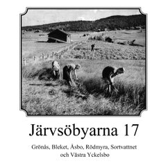 Järvsöbyarna 17. Grönås, Bleket, Åsbo, Rödmyra, Sortsvattnet och Västra Yckelsbo i gruppen Landshopping.se / Böcker hos Landshopping (10074_9789185903542)