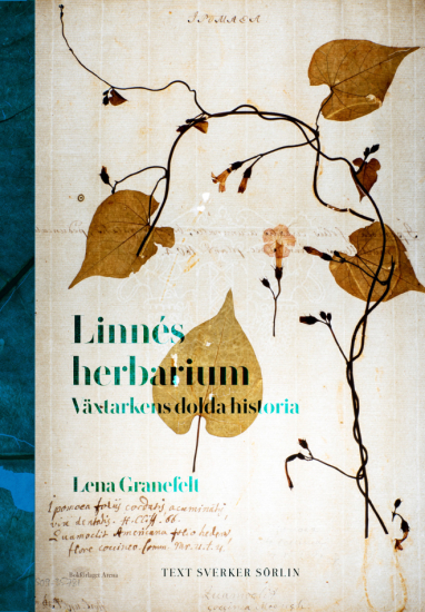 Linnés herbarium: växtarkens dolda historia i gruppen Landshopping.se / Böcker / Trädgårdsböcker hos Landshopping (10145_9789189967113)