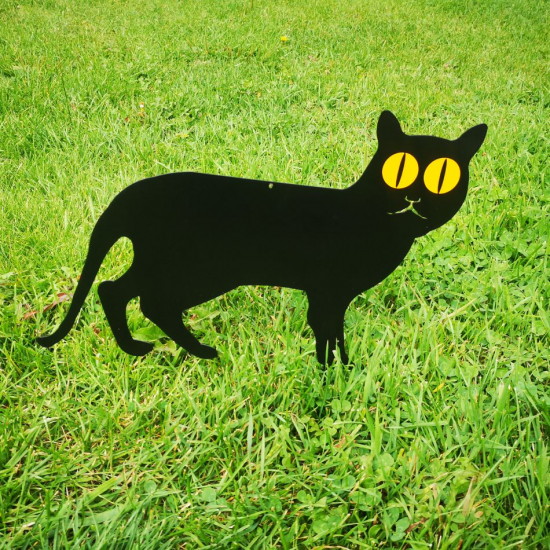 Reflexkatt