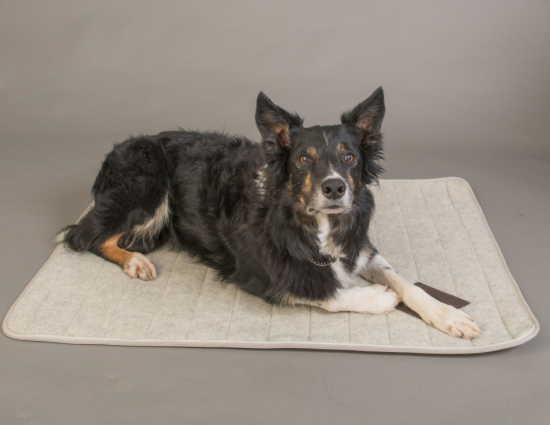 Hundfilt 80*100 cm Ljusgrå