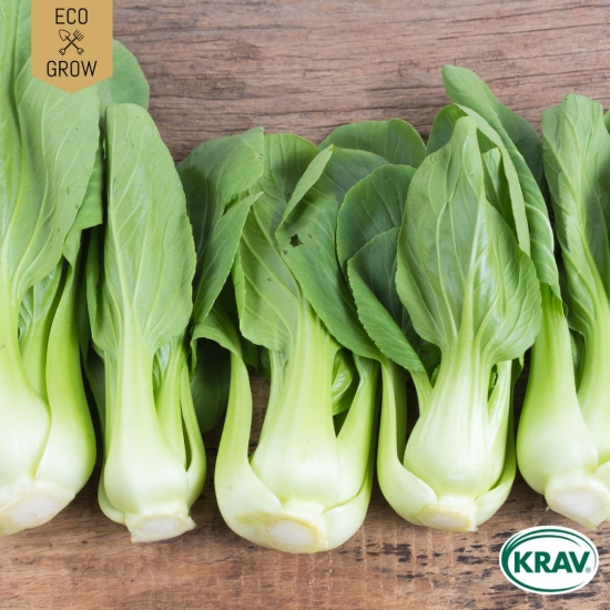 Pak Choi