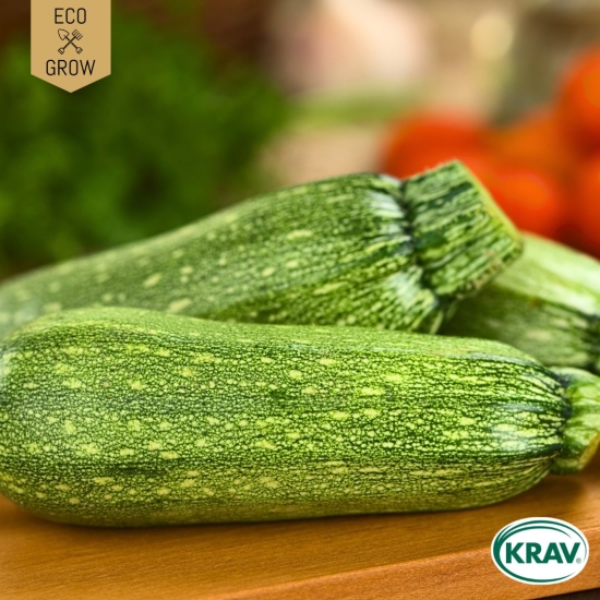 Sommarsquash - Genovese