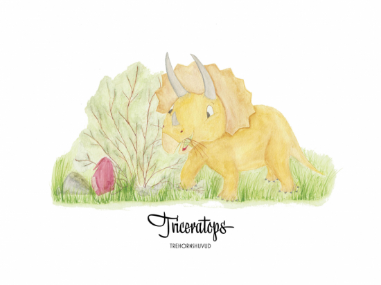 Print 30x40 cm - Triceratops 1