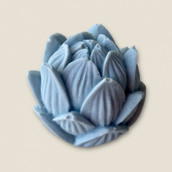 Gul lotus
