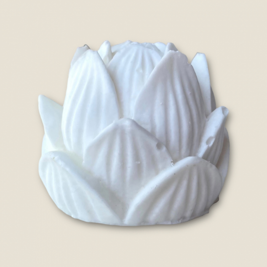 Vit lotus