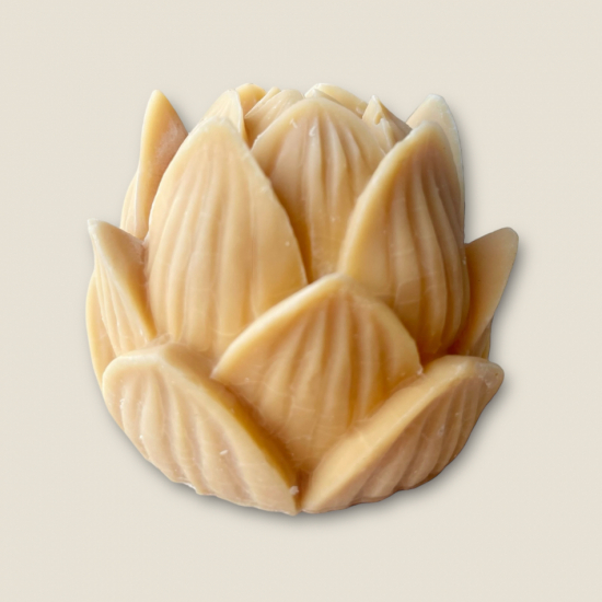 Gul lotus