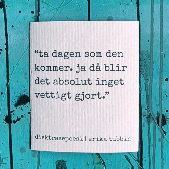 disktrasa VETTIGT i gruppen Landshopping.se / Kök & Matlagning / Kökstextilier / Disktrasor hos Landshopping (10254_01172027401)