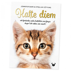 Katte Diem