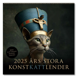 2025 års stora konstkattlender