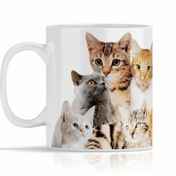 Mugg: Toksöta katter