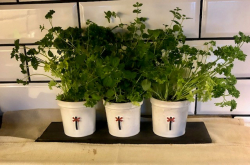 Förvaringsset Ledkryss