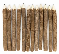 Blyertspenna björkkvist