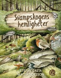 Svampskogens hemligheter