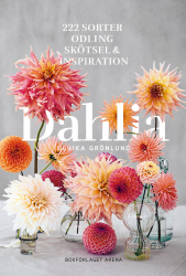 Dahlia: 222 sorter, odling, skötsel och inspiration