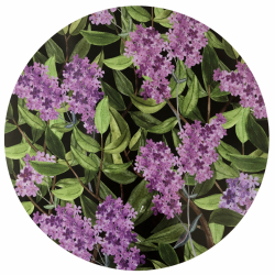 Grytunderlägg, Syren 25 cm Ø