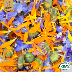 Ätbara Blommor - Edible Flower Mix