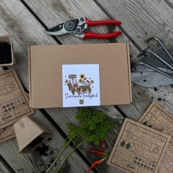 Fröpaket - Surrande Trädgård