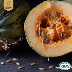 Nakenfröpumpa - Gleisdorfer