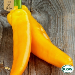 Spetspaprika - Corno di Toro Giallo