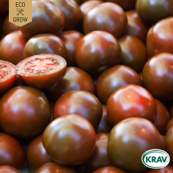 Körsbärstomat - Black Cherry