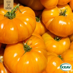 Busktomat - Yellow Donut