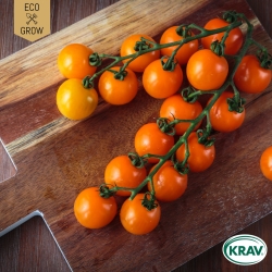 Körsbärstomat - Figiel