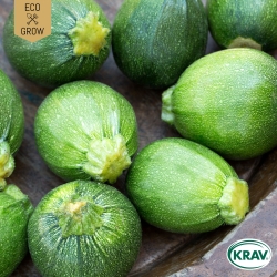 Sommarsquash - Di Nizza