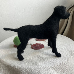 Minihund Labrador